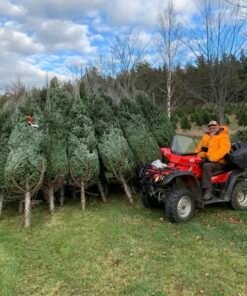 christmas pallets for sale​