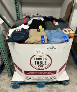 clothes steamer costco